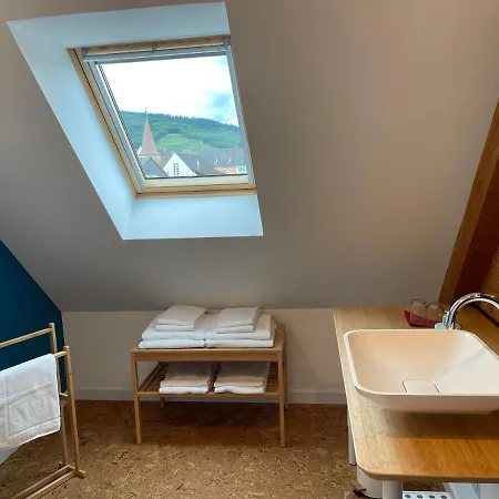 Alsacebnb - 12 Personnes Dans Le Vignoble - Piscine Privee & 4* Ammerschwihr