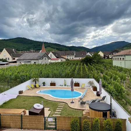 Alsacebnb - 12 Personnes Dans Le Vignoble - Piscine Privee & 4*