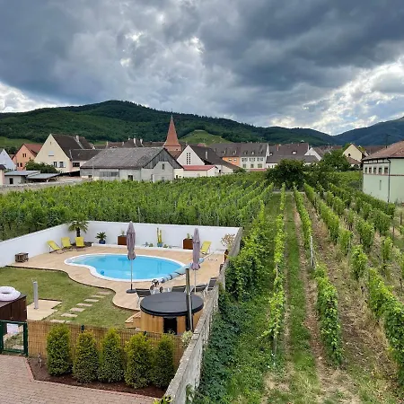 Alsacebnb - 12 Personnes Dans Le Vignoble - Piscine Privee & 4*