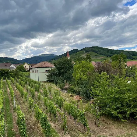 Alsacebnb - 12 Personnes Dans Le Vignoble - Piscine Privee & Ammerschwihr