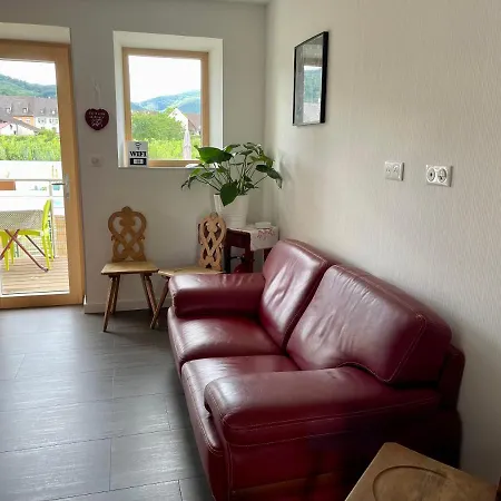 Alsacebnb - 12 Personnes Dans Le Vignoble - Piscine Privee & Gæstehus 4*