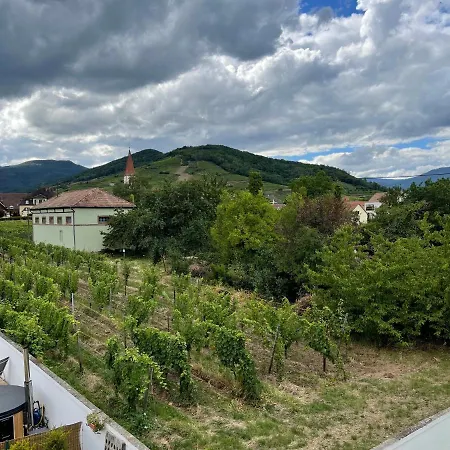 Alsacebnb - 12 Personnes Dans Le Vignoble - Piscine Privee & ゲストハウス 4*