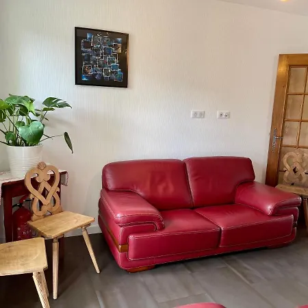 Alsacebnb - 12 Personnes Dans Le Vignoble - Piscine Privee & Gæstehus Ammerschwihr