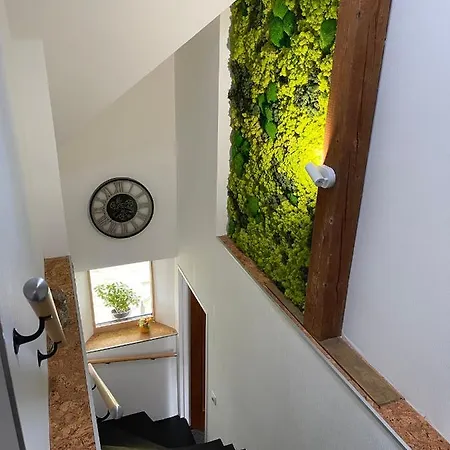 Gæstehus Alsacebnb - 12 Personnes Dans Le Vignoble - Piscine Privee &