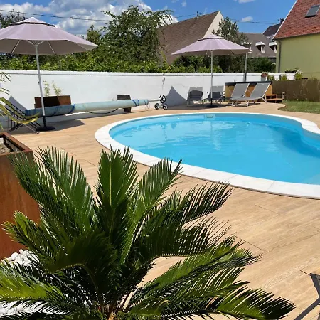 Alsacebnb - 12 Personnes Dans Le Vignoble - Piscine Privee & 4*