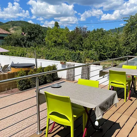 Guest house Alsacebnb - 12 Personnes Dans Le Vignoble - Piscine Privee &