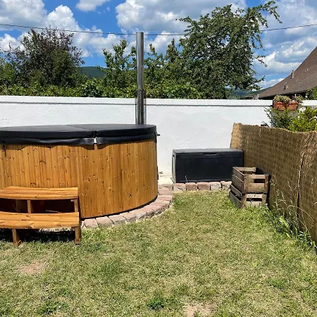 Alsacebnb - 12 Personnes Dans Le Vignoble - Piscine Privee & Guest house Ammerschwihr